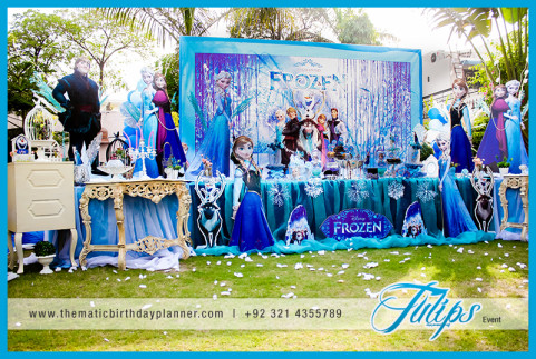 Frozen Elsa Theme Party