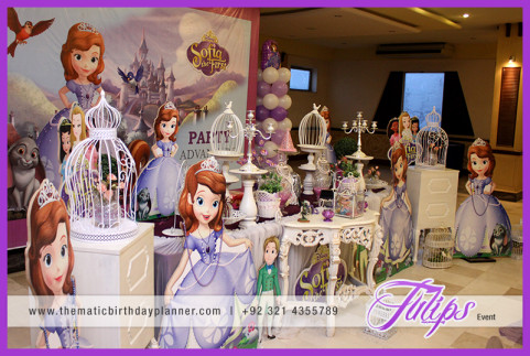 Sofia the first themed party