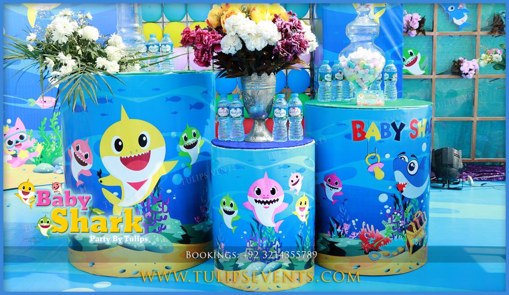 Baby Shark Birthday Party Decoration Ideas In Pakistan 48