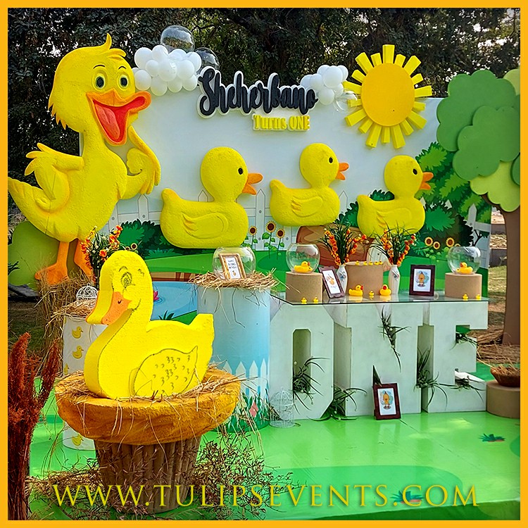 5 Little Duck Theme Birthday Decor ideas in Pakistan (1)