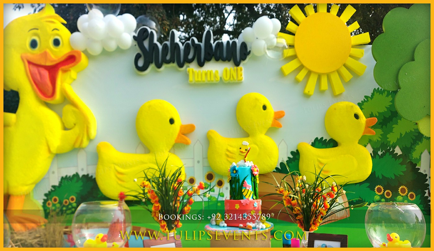 5 Little Duck Theme Birthday Decor ideas in Pakistan (2)