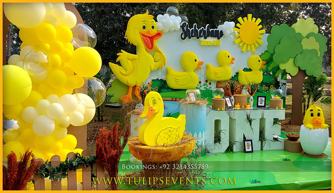 5 Little Duck Theme Birthday Decor ideas in Pakistan (5)
