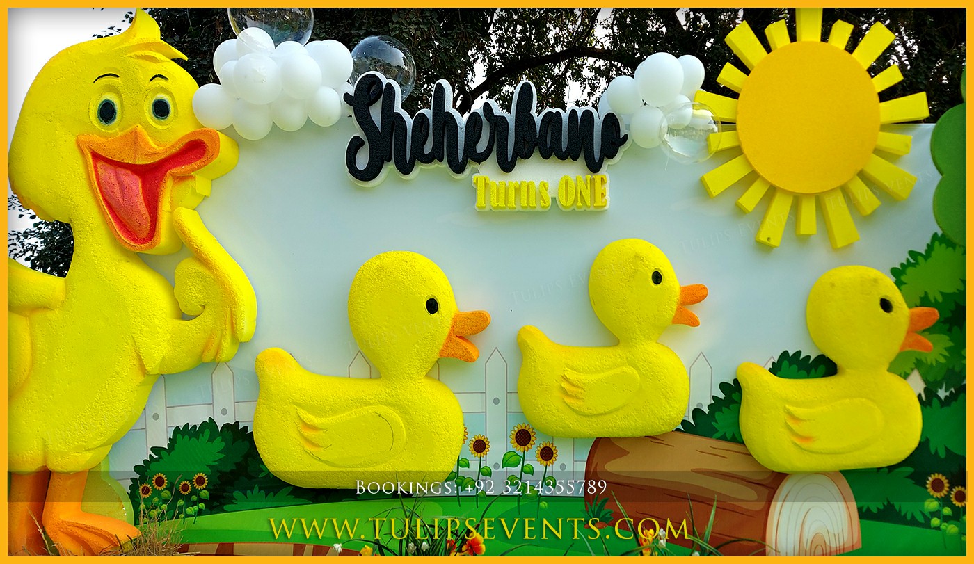 5 Little Duck Theme Birthday Decor ideas in Pakistan (6)
